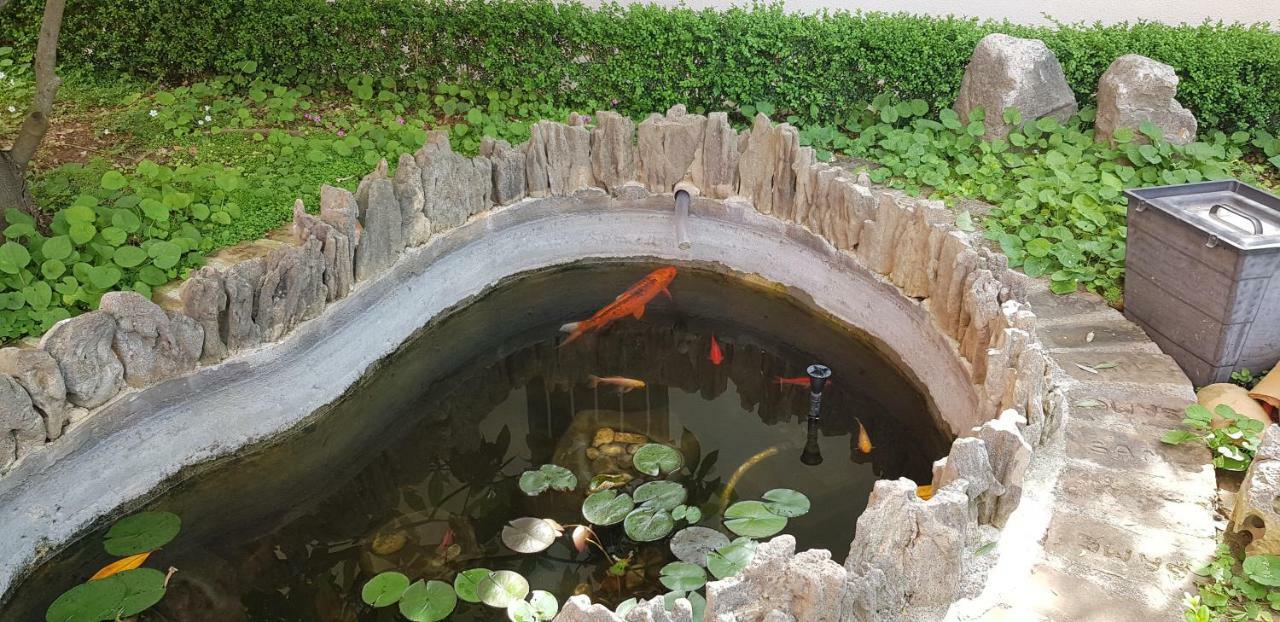 Villa Rustica Zadar Dış mekan fotoğraf